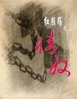 紅顏殤之情奴